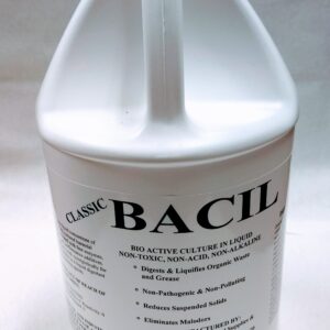 Bacil