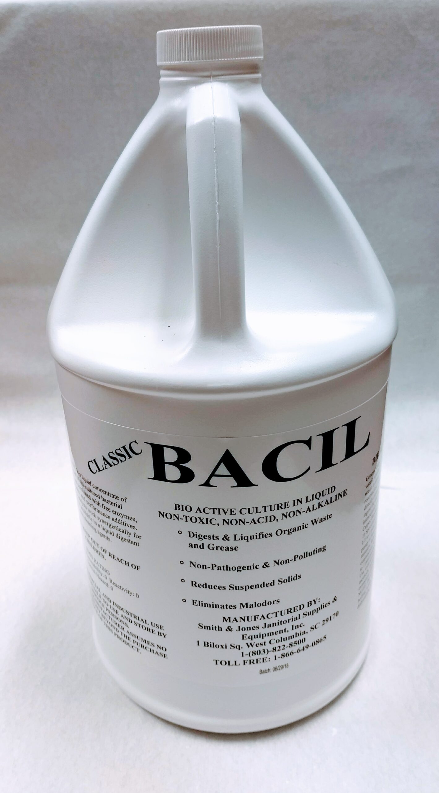 Bacil