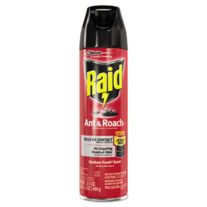 Raid Ant & Roach 17.5oz